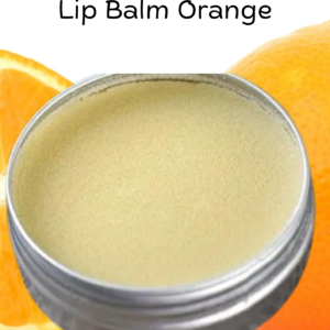 Descriptive alt text for image 3 - This image shows important visual content that enhances the user experience and provides context for the surrounding text.